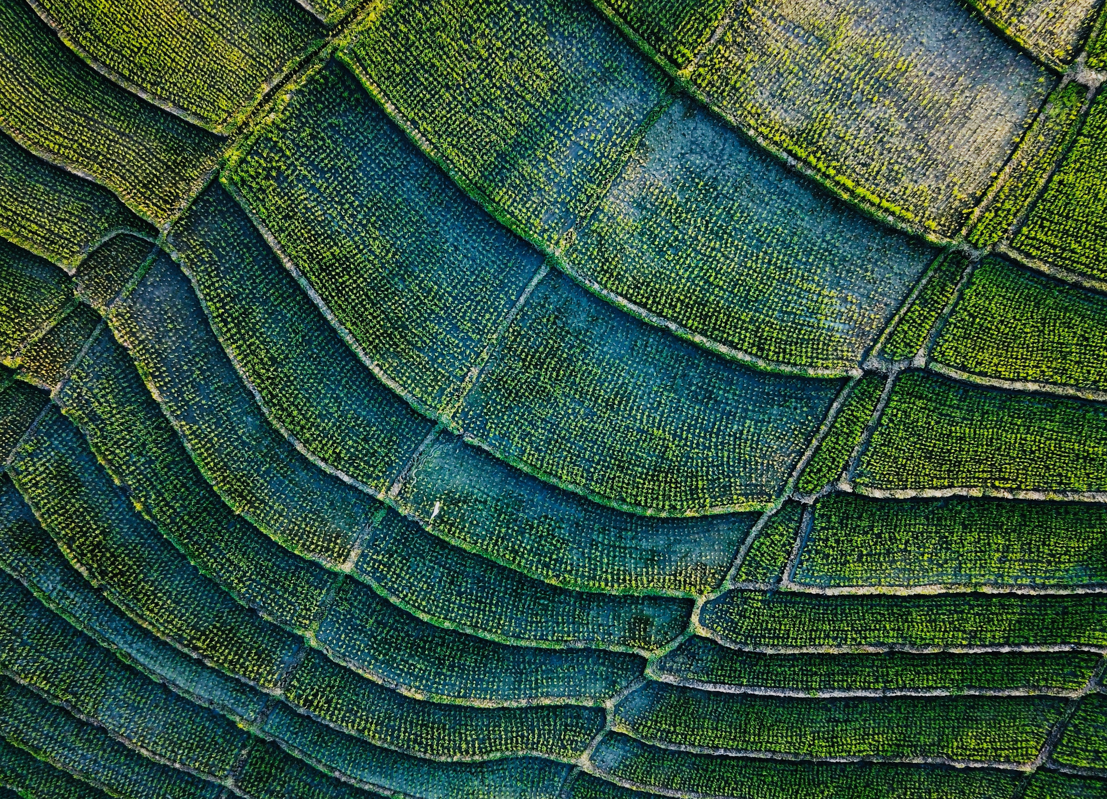 campo-materiales_cuidados